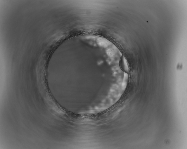 X0000102040913200808011507