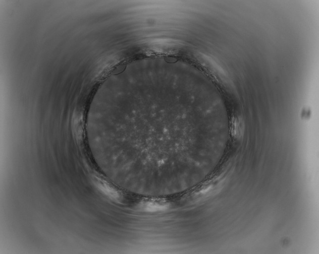 X0000102040915200808011507