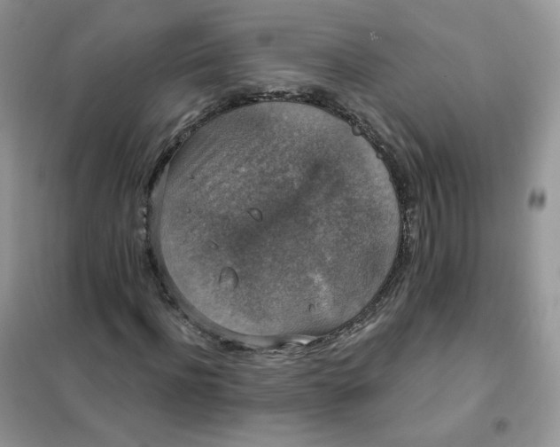 X0000102040916200808011507