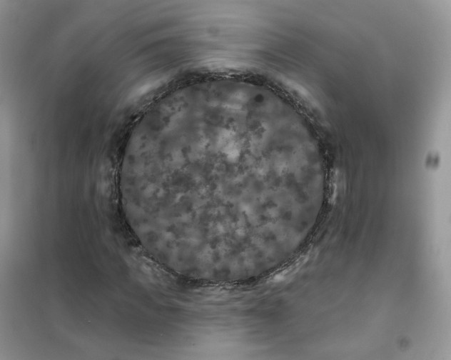 X0000102040917200808011507