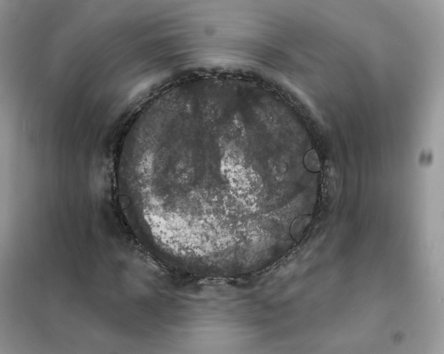 X0000102040918200808011507