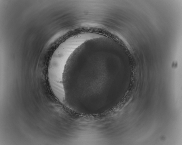 X0000102040919200808011507