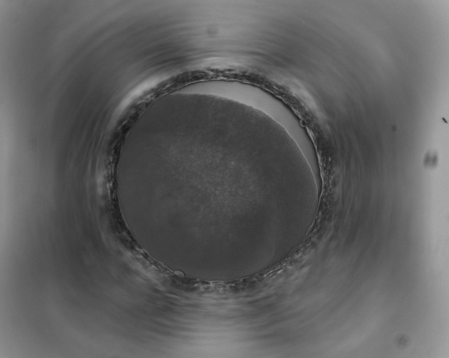 X0000102040920200808011507