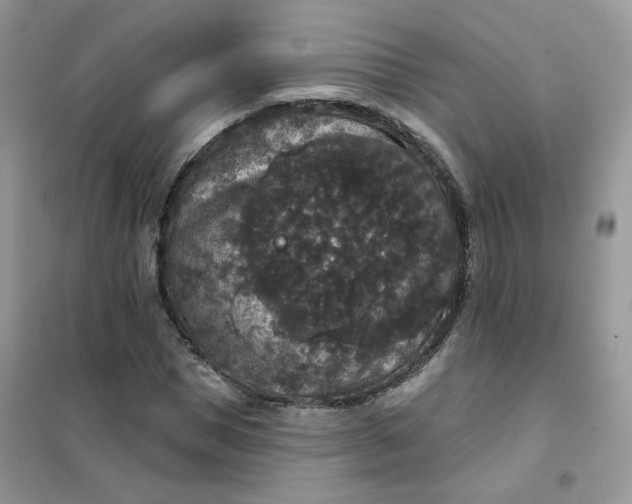 X0000102040921200808011507