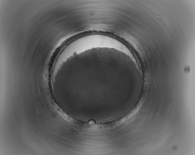 X0000102040923200808011507