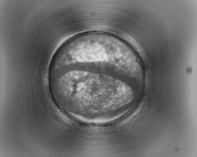 X0000102040924200808011507