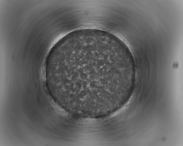 X0000102040925200808011507