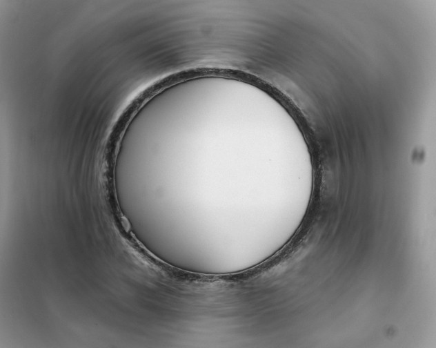 X0000102040926200808011507