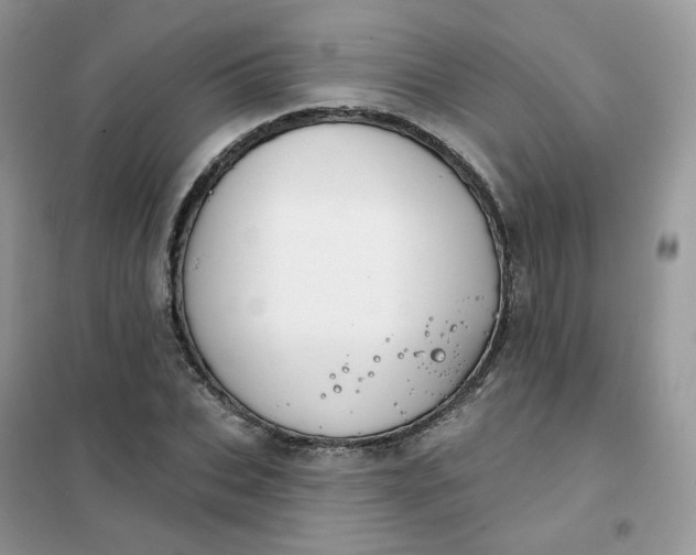 X0000102040927200808011507