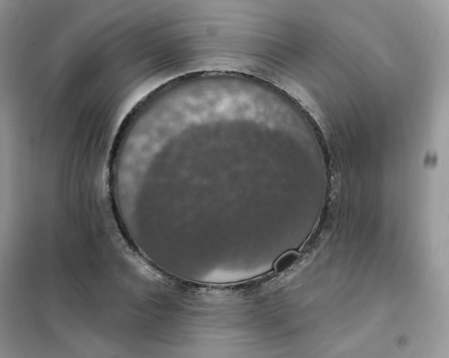 X0000102040928200808011507