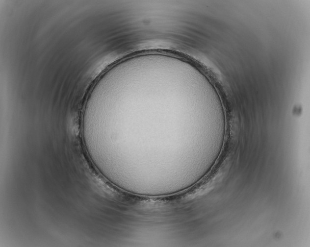 X0000102040929200808011507