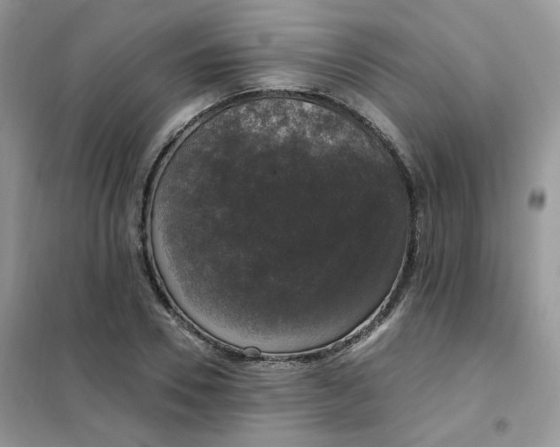 X0000102040930200808011507