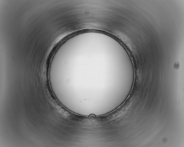 X0000102040931200808011507