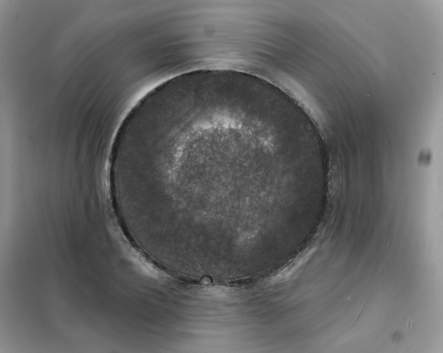 X0000102040932200808011507