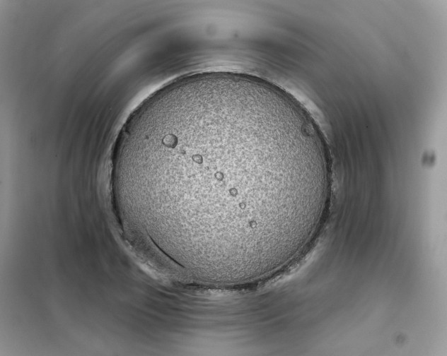 X0000102040933200808011507