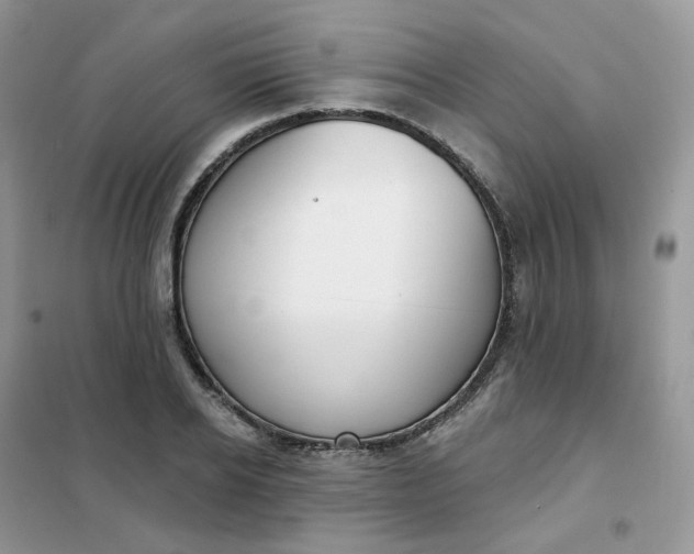 X0000102040934200808011507