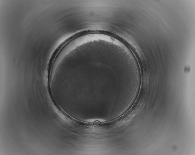 X0000102040935200808011507