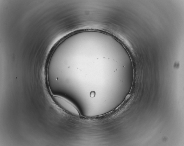 X0000102040936200808011507