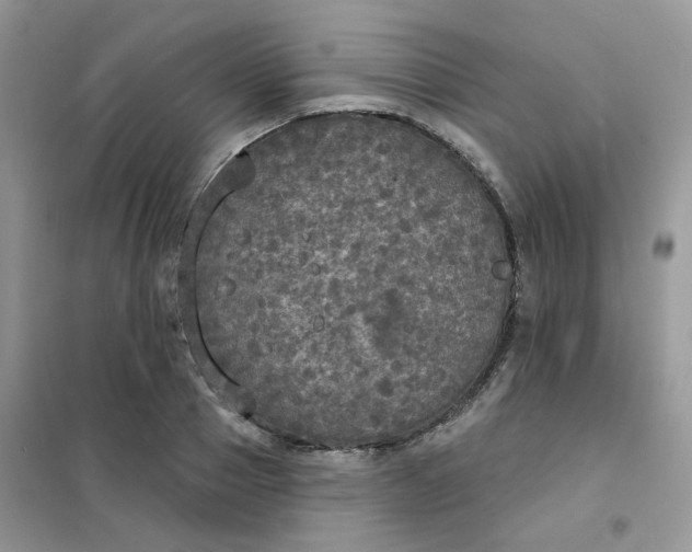 X0000102040937200808011507