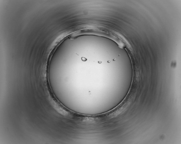 X0000102040938200808011507