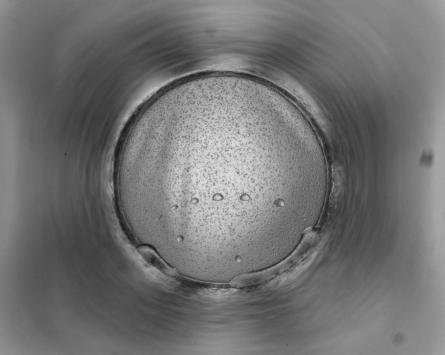 X0000102040939200808011507