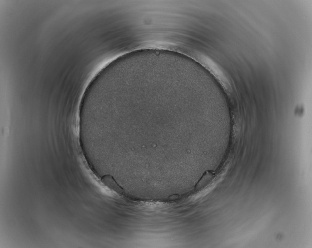 X0000102040940200808011507