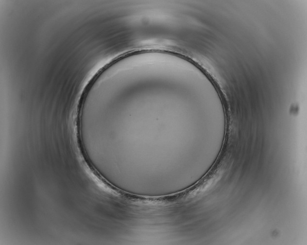 X0000102040941200808011507