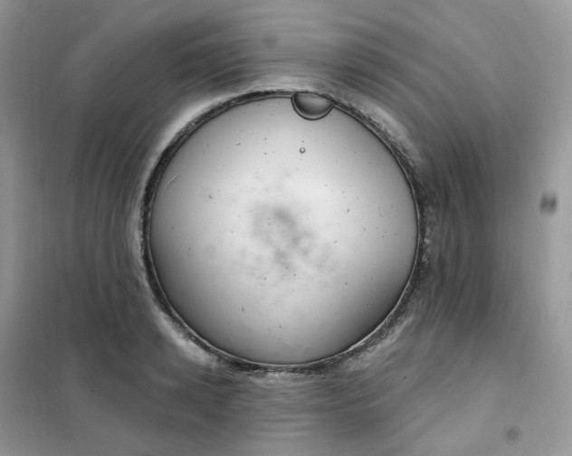 X0000102040942200808011507