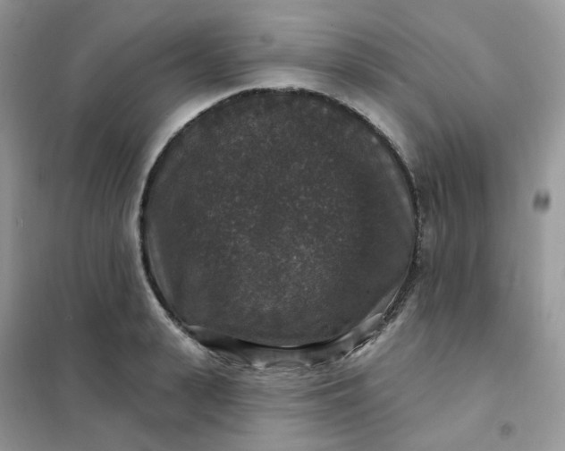 X0000102040943200808011507