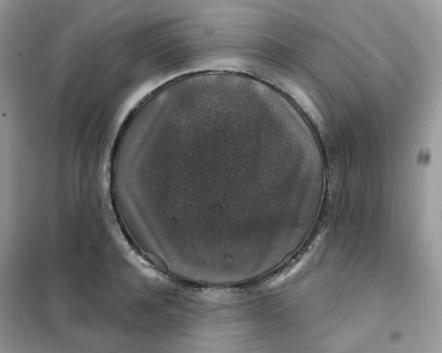 X0000102040944200808011507