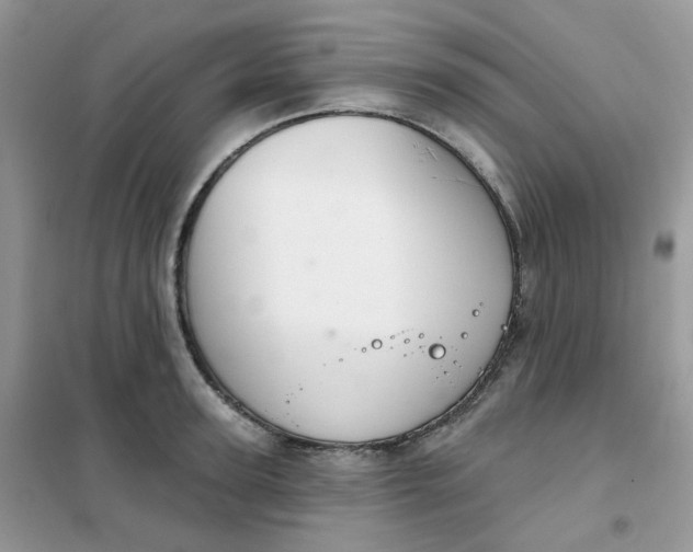 X0000102040947200808011507