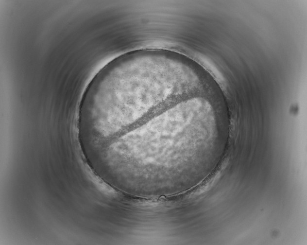 X0000102040948200808011507