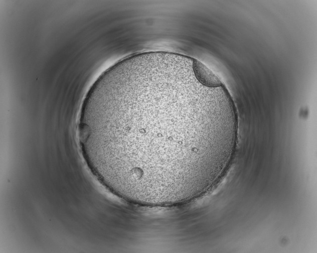 X0000102040949200808011507