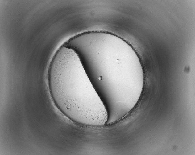 X0000102040950200808011507