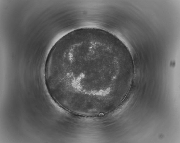 X0000102040951200808011507