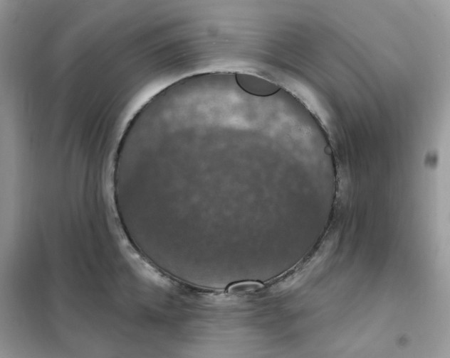 X0000102040952200808011507