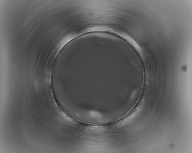 X0000102040953200808011507