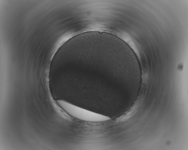 X0000102040954200808011507