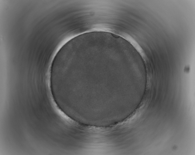 X0000102040955200808011507