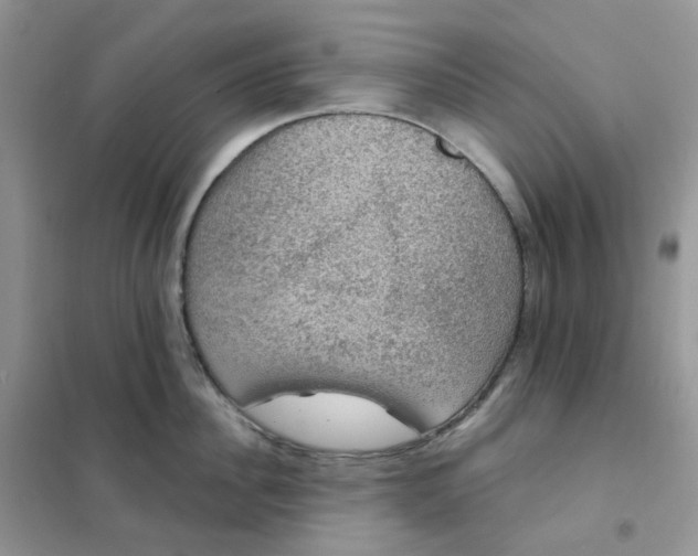 X0000102040956200808011507