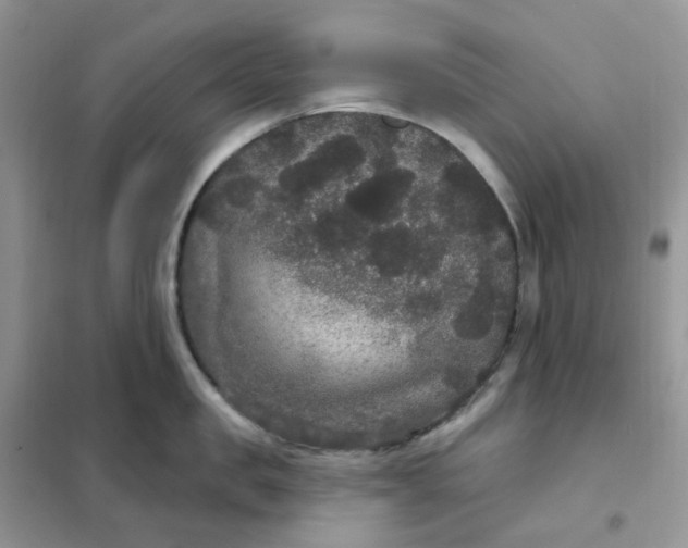 X0000102040957200808011507