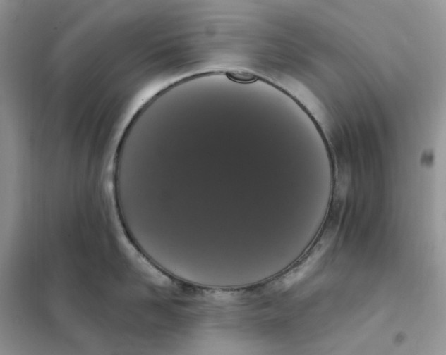 X0000102040958200808011507