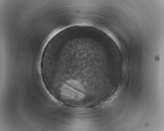 X0000102040959200808011507