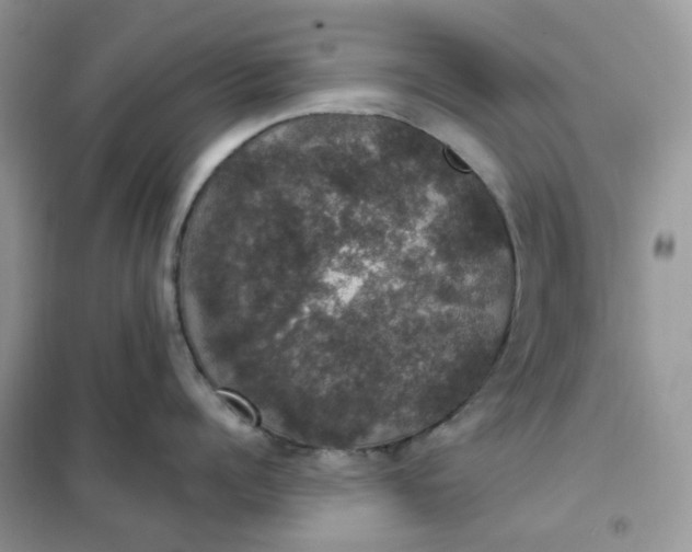 X0000102040960200808011507