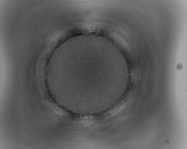 X0000102040961200808011507