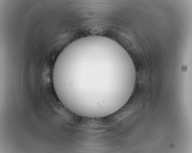 X0000102040962200808011507