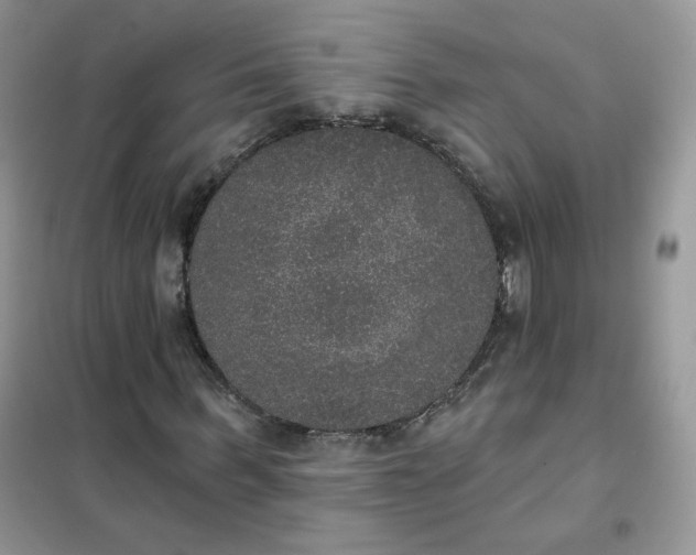 X0000102040963200808011507