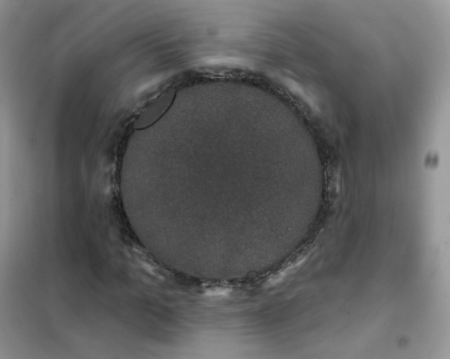 X0000102040965200808011507