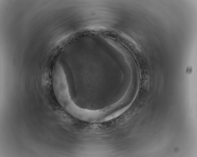 X0000102040966200808011507