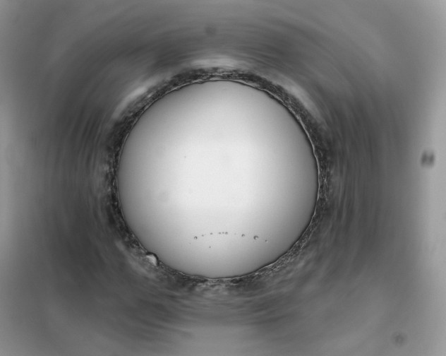 X0000102040967200808011507